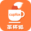 Cupfox茶杯狐